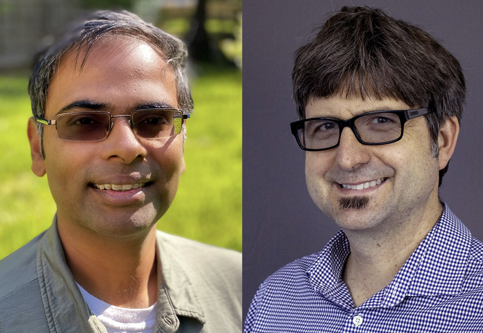 IMS Fellows